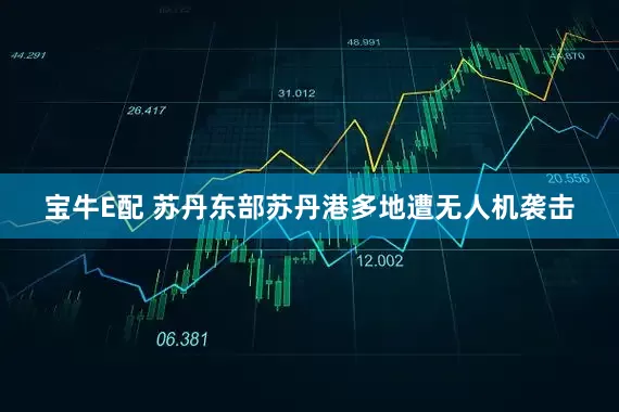 宝牛E配 苏丹东部苏丹港多地遭无人机袭击